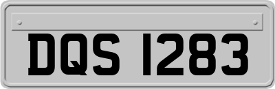 DQS1283
