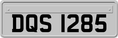 DQS1285