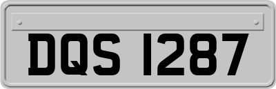 DQS1287