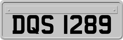 DQS1289