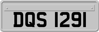 DQS1291