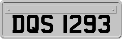 DQS1293