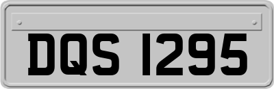 DQS1295