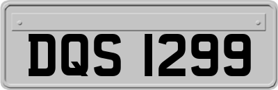 DQS1299