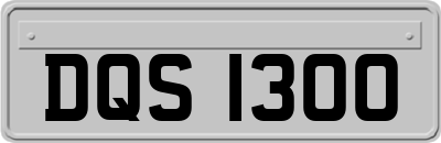 DQS1300