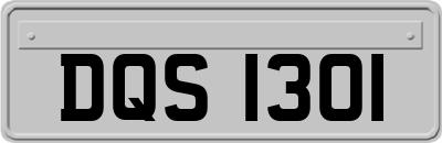 DQS1301