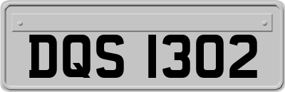 DQS1302
