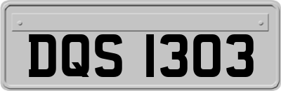 DQS1303