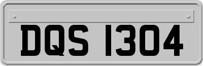 DQS1304