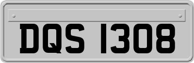 DQS1308