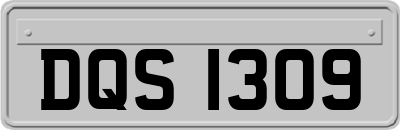 DQS1309
