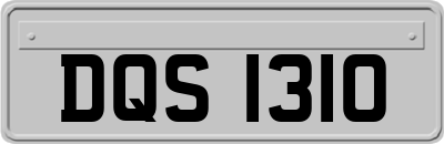 DQS1310