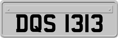 DQS1313