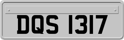 DQS1317