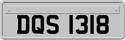 DQS1318