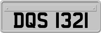 DQS1321