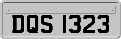 DQS1323