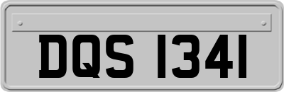 DQS1341
