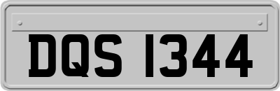 DQS1344