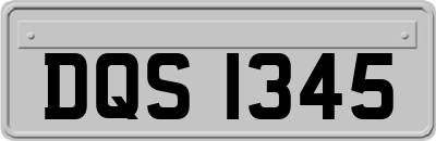 DQS1345