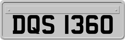 DQS1360