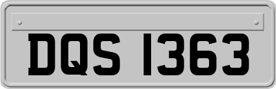 DQS1363