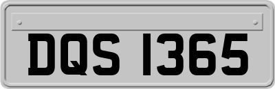 DQS1365