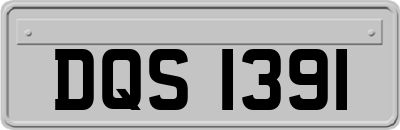 DQS1391