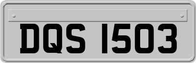 DQS1503