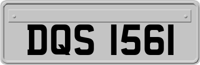 DQS1561