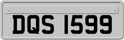 DQS1599