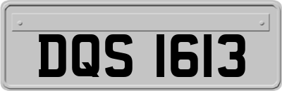 DQS1613