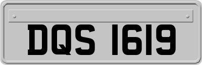 DQS1619