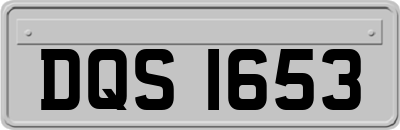 DQS1653