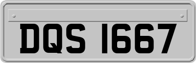 DQS1667