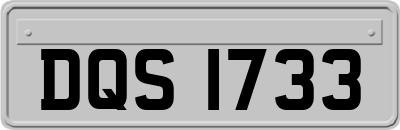 DQS1733