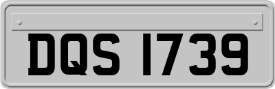 DQS1739