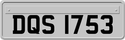 DQS1753