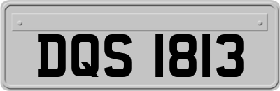DQS1813
