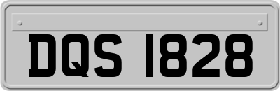 DQS1828