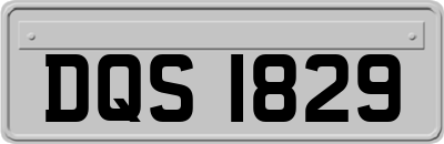 DQS1829