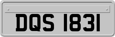 DQS1831