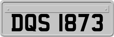 DQS1873