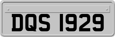 DQS1929