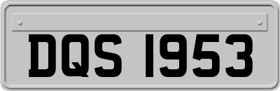 DQS1953