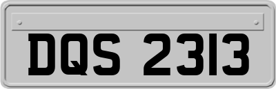DQS2313