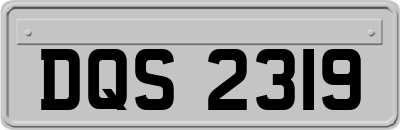 DQS2319