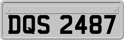 DQS2487