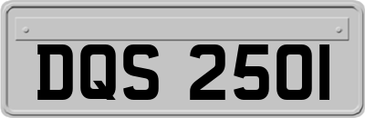 DQS2501