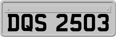 DQS2503